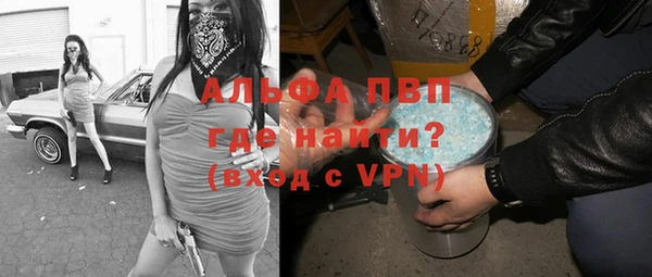 индика Абаза