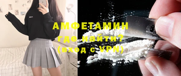 индика Абаза