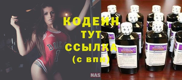 индика Абаза