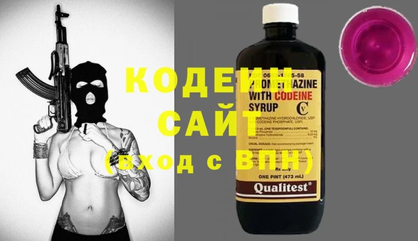 индика Абаза