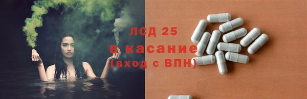 индика Абаза
