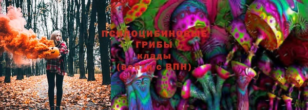 индика Абаза
