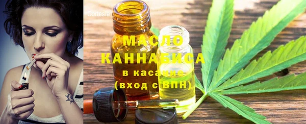 индика Абаза