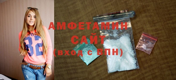 индика Абаза