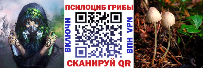 гидра как зайти  Новое Девяткино  Псилоцибиновые грибы Psilocybine cubensis 